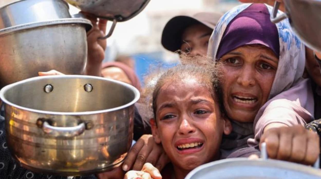 Belgium debates Gaza crisis and Palestinian state recognition