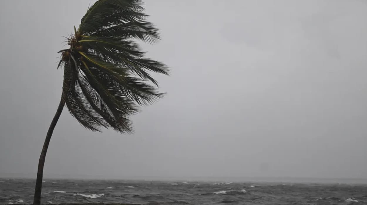 UK government urges registration amidst Jamaica storm