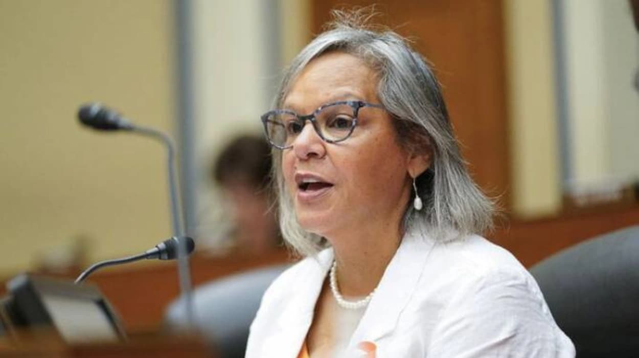 US Congresswoman Robin Kelly backs curb on arms to Israel