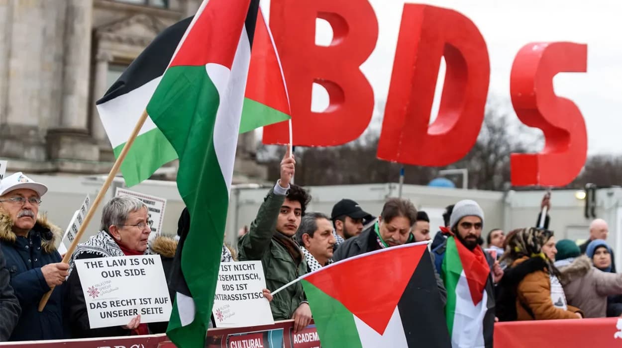 What is the boycott, divestment, sanctions movement?