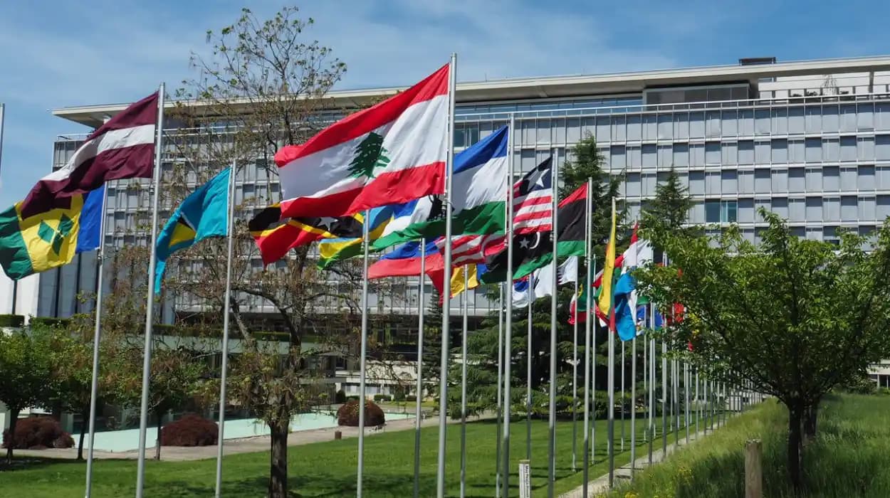 Which Countries Voted Against Palestine? A Clear Look at UN Voting Trends